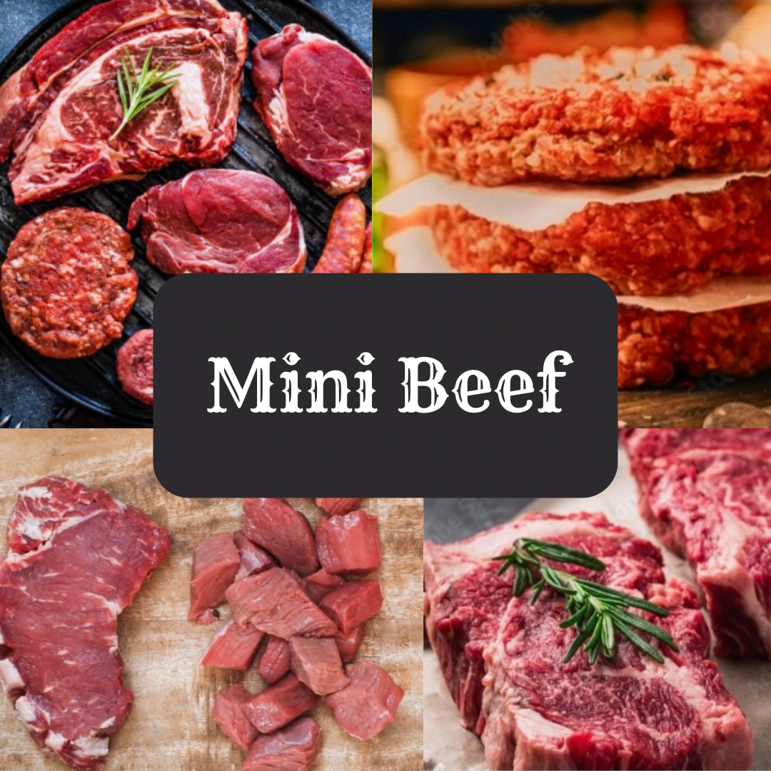 Mini Beef Bundle DEPOSIT (25 lbs)